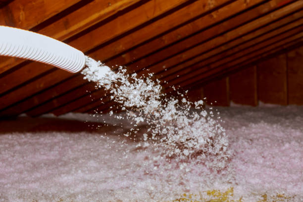 Best Eco-Friendly Insulation in Linden, TX